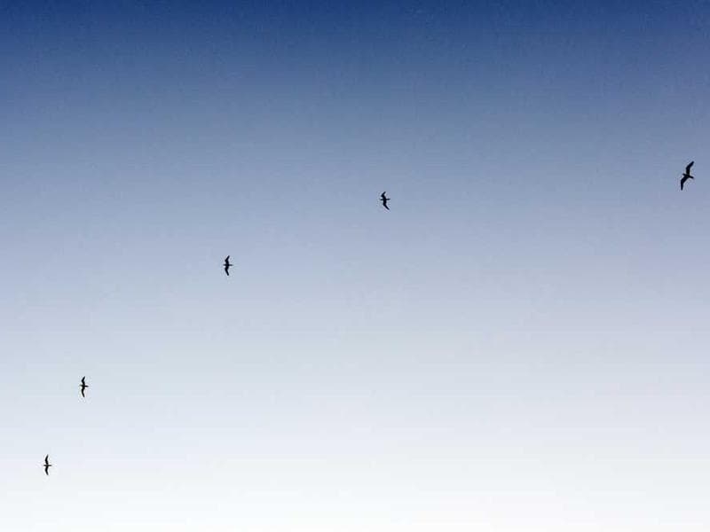 Imagem 4